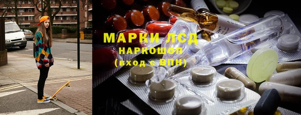 твердый Новозыбков
