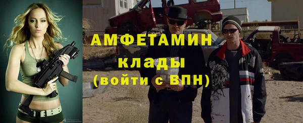 твердый Новозыбков