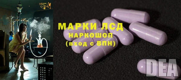 спиды Новодвинск