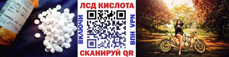 Лсд 25 экстази кислота блэк спрут маркетплейс Адыгейск